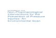 ENVIRONMENTAL SCAN Non-Pharmacological Interventions for …€¦ · an evaluation of non-pharmacological options for prevention of pressure injuries. In addition, this Environmental