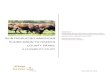 Reintroducing American Plains bison to Dakota County parks...Appendix A Letter from the Minnesota Bison Conservation Herd Partnership ... The recommendation is based on the park’s