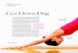 Get Down Dog - Jason Crandell Vinyasa Yoga MethodDOWNWARD-FACING DOG is the salt of hatha yoga, sprinkled intermittently throughout class from begin-ning to end. Just as pinches of
