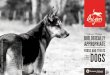 24002 24002 Bern Orijen Dog Brochure copy · 2018. 6. 15. · 2 orijen biologically appropriate™ dog foods our mission.clear strong and we make biologically appropriatetm dog foods