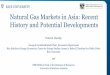 Natural Gas Markets in Asia: Recent History and Potential ......Explanations for long-term contracts v We focus on two main explanations for the desirability of long-term contracts: