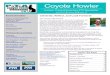 iiiiiiiiiiiiiiiiiiii Coyote Howler iiiiiiiiiiiiiiiiiiii Canyon Creek Elementary …canyoncreekpta.ourschoolpages.com/Doc/Howlers/201706... · Join us this summer on Canyon Creek’s