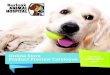 Online Store See our full Product Preview Catalogue online!Product Preview Catalogue 3 Iams Veterinary Diets Dog and Cat Treats