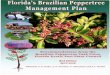 INTERAGENCY BRAZILIAN PEPPERTREEAlexander discovered the first naturalized plants on Big Pine Key in Monroe County (Austin and Smith 1998). In Florida, Brazilian peppertree is listed