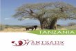 Amizade Tanzania Handbook updated 02162012 · -- 2 of 14 -- 412-586-4986 volunteer@amizade.org PO Box 6894, 343 Stansbury Hall, Morgantown, WV 26506 USA TANZANIA VOLUNTEER HANDBOOK