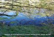 Totnes & ridgetown Parish Magazine, May 2018€¦ · Totnes & ridgetown Parish Magazine, May 2018 . 2 OVER PHOTO. Reflections in the River Dart above the Totnes weir by J ... May