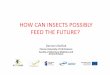 HOW CAN INSECTS POSSIBLY FEED THE FUTURE? · Insectsas a sustainablefeed ingredient in pigand poultry diets‐a feasibilitystudy, Report 638, 2012 Józefiak et al. 2016 22. Live (kg)