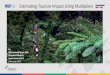 Estimating Tourism Impact Using Multipliers · 2019. 4. 27. · Business Enabling Services and Infrastructure Exports Tourism . 18 % 63% More tourists to more ... enterprises supplying