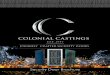 SECURE - Colonial Castings€¦ · Colonial Castings world-class security screen doors are built with an exclusive construction technique. You can relax knowing your home is safeguarded