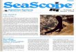 A- Systems - Spectrum Brandsspectrum-sitecore-spectrumbrands.netdna-ssl.com/~/media... · 2011. 10. 14. · copies, a landmark among marine aquarium publications. The growth of Seascope