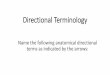 Directional Terminology - San Diego Mesa College€¦ · Directional Terminology Name the following anatomical directional terms as indicated by the arrows: *scroll to the next slide