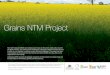 Grains NTM Project · global NTM classification system to facilitate the collection and dissemination of information on NTMs applied by individual countries. This system is the UNCTAD