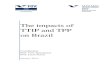 The impacts of TTIP and TPP on Brazil - EUBrasileubrasil.eu/http:/.../05/...TTIP-e-TPP-ENG-16-0114.pdf · TTIP will result in gains of competiveness for its partners, while Brazil,