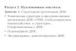 Раздел 2. Нуклеиновые кислоты.biogen.chuvsu.ru/uch_2_biol/carantin/Lesson 6 2020.pdfВопрос 1. Химическая структура и пространственная