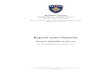 Raporti vjetor financiar - mf.rks-gov.net · Pasqyra e konsoliduar e krahasimit të buxhetit me realizimin për Qeverinë e Kosovës Për vitin që përfundon më 31 dhjetor 2011