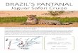 BRAZIL’S PANTANAL - Explor Cruises · 2020. 1. 10. · BRAZIL’S PANTANAL . Jaguar Safari Cruise . Stretching across Brazil, Bolivia and Paraguay, the Pantanal is the world’s