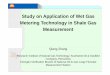 Study on Application of Wet Gas Metering Technology in ...flomeko2019.lnec.pt/proceedings/1044 Qiang Zhang.pdf · Study on Application of Wet Gas Metering Technology in Shale Gas