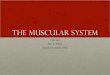 The Muscular System - ngkin.files.wordpress.com · AKA the locomotor system Allows us to create movement Comprised of muscles, bones, connective tissues (ligaments, tendons, joint