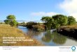 One Health : A holistic approach towards Freshwater ......approach towards Freshwater Conservation Nolubabalo Kwayimani 11 April 2018 + Presentation Outline ... Few Modified ( 6.8