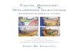 Facial anatomy - Academy · facial axial vessels. Each fat compartment and each septum has a well-dened shape and a quite predictable loca-tion in facial topography. Several external