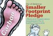 City of Bellevue Smaller Footprint Pledge · perhaps you’ll find a few new ideas to try. Everyday choices affect your personal carbon footprint and the future availability of our