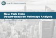 New York State Decarbonization Pathways Analysis...2020/06/24  · New York State has significant potential renewable energy resources and zero-carbon technology options, as well as