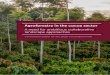 Agroforestry in the cocoa sector - Mighty Earth · for cocoa agroforestry systems with no specific number per hectare; x Our company’s definition: Cacao agroforestry is a managed,