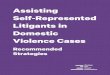 Assisting Self-Represented Litigants in Domestic Violence ... · regarding e-filing). Domestic violence-focused online self-help centers often provide specific information about protection