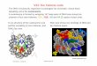 V23: the histone code · V23: the histone code WS 2016/17 - lecture 22 Bioinformatics III 1 X-ray structure of the nucleosome core particle consisting of core histones, and DNA. Top