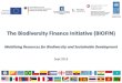 The Biodiversity Finance Initiative (BIOFIN)€¦ · •Current status of biodiversity finance in the country • Finance mechanism currently in use in the country, identify: •