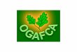 Oakley Green, Fifield and District Community Association ... · Members’ Social Events 1261.72 Newsletter Advertising 1885.00 ... Balance Sheet as at 31 March 2013 2013 2012 £