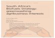 ACB BRIEFING PAPER No.3, 2008 South Africa’s Biofuels ... · Strategy Paper (‘Strategy’).1 The Strategy targets the growing of sugar cane and sugar beet for ethanol and sunflower,
