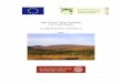 Iveragh HNV Case Study Report - Heritage Council · Case study Farms A. Coastal Farm This farm is situated on the coast but rises up into the adjacent higher mountain land. The farm