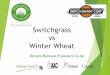 Switchgrass vs Winter Wheat - OBPC... · OBPC will assist in providing necessary education for future producers 16 . What are our future needs ! With OBPC we have a province wide