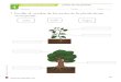 ¿Cómo son las plantas? - WordPress.com...¿Cómo son las plantas? UNIDAD CONT ENI DOS BÁSICOS Nombre: Fecha: Curso: Author: Pilar Created Date: 10/18/2018 12:09:17 PM 