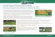 Drainage Program Guide - Detroit Rain... · Rain gardens are easy to create, attractive, and provide environmental benefits to the community Rain gardens can be planted with lower