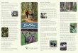 Seal Bay Brochure outside June 2016 proof5 a trail to get exercise and enjoy an opportunity to destress