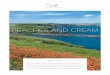 BEACHES AND CREAM · Arty cliffside beach pad Don’t miss the hilltop hot tubs St Moritz Hotel Surf-side family fun Don’t miss a Cowshed massage Coastal retreats Fowey Hall The