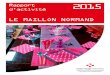 Rapport 2015 d’activité - Croix-Rouge française · 2016. 6. 27. · LE MAILLON NORMAND / Rapport d’activité 2015 3 L e Maillon Normand est un établis - sement de Croix-Rouge