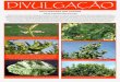 Olho de pavão (Spilocaea oleagina (Castagne) Hughes) · DIVULGAÇÃO PSILA AFRICANA DOS CITRINOS Trioza erytreae (Del Guercio) Trioza erytreae é um inseto picador-sugador, originário