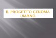 Il Progetto genoma Umano - Università degli Studi di Pisaomero.farm.unipi.it/matdidFarm/9/Principi-BiolMol-Capitolo4.pdf · Approccio dell’assemblaggio del genoma clone per clone