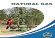 NATURAL GAS ... Natural gas Natural gas, coal and petroleum oil are fossil fuels. Together they provide