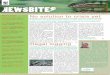 Trimonthly Newsletter from WWF Madagascar and Western ...awsassets.panda.org/downloads/10_05_04__jan_apr_2010.pdf · Conservation Plan 2010-2015 Our 5-year Conservation Plan for 2010-2015