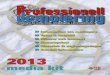 2013 media kitprofessionelldemolering.se/ · 2015. 6. 15. · 2013 media kit ›› Information om mottagare ›› Tema & innehåll ›› Mässor och konvent ›› Annonspriser