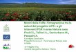 azioni del progetto LIFE+ e gli interventi PSR in aree Natura 2000 … · 2015. 5. 27. · Monti della Tolfa: l’integrazione tra le azioni del progetto LIFE+ e gli interventi PSR