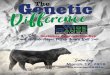 The Genetic - Hillside Angus Ranch · Tattoo: H S JG Bruiser 944 741 Bull Angus GS +*19030558 Birth Date: 02/28/17 BW: WW Adj: WW Ratio: YW Adj: YW Ratio: YH Adj: 70 538 100 A V Bismarck