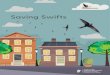 Saving Swifts - BirdWatch Ireland · The Swift’s call is a loud, piercing scream and Swifts will often form ‘screaming parties’ on summer evenings, when 10-20 Swifts ... groups