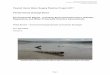 Pawlett Hams Water Supply Pipeline Project 2017 Parrett ... · 3.2 Flood and coastal risk management of the Parrett Estuary Options for restoring the summer water supply to Pawlett