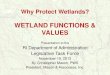WETLAND FUNCTIONS & VALUES€¦ · 19/11/2013  · WETLAND FUNCTIONS & VALUES . Presentation to the . RI Department of Administration . Legislative Task ... Overview: • What are