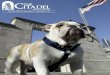 Table of Contents - The Citadel | The Military College of ... The Citadel Graduate College Student Handbook 8 About The Citadel Graduate College History of The Citadel Graduate College